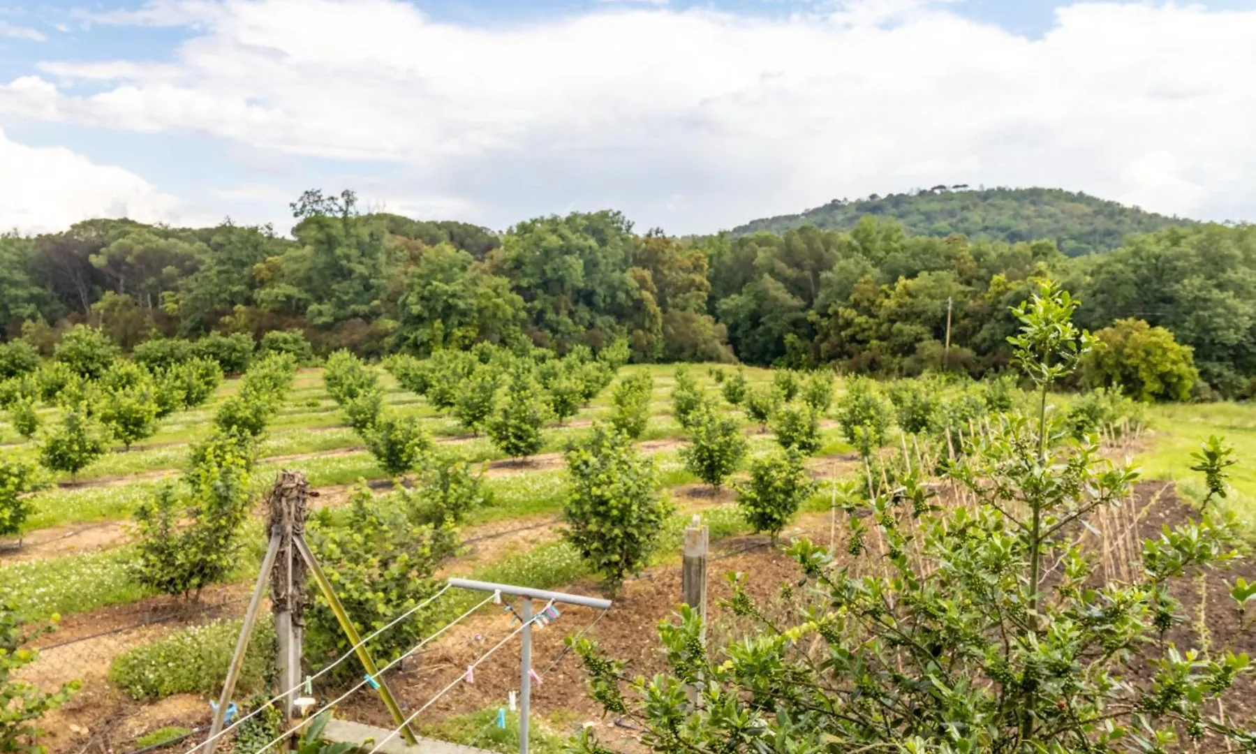 Can Pons De Dalt Casa Rural A La Selva Girona Španělsko